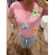 Pull LINA rose